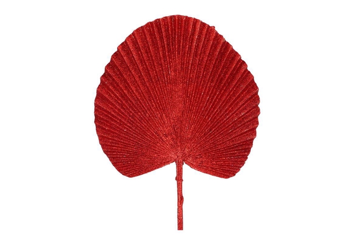 Pick Shine Fan Jolly Red 66cm Nm