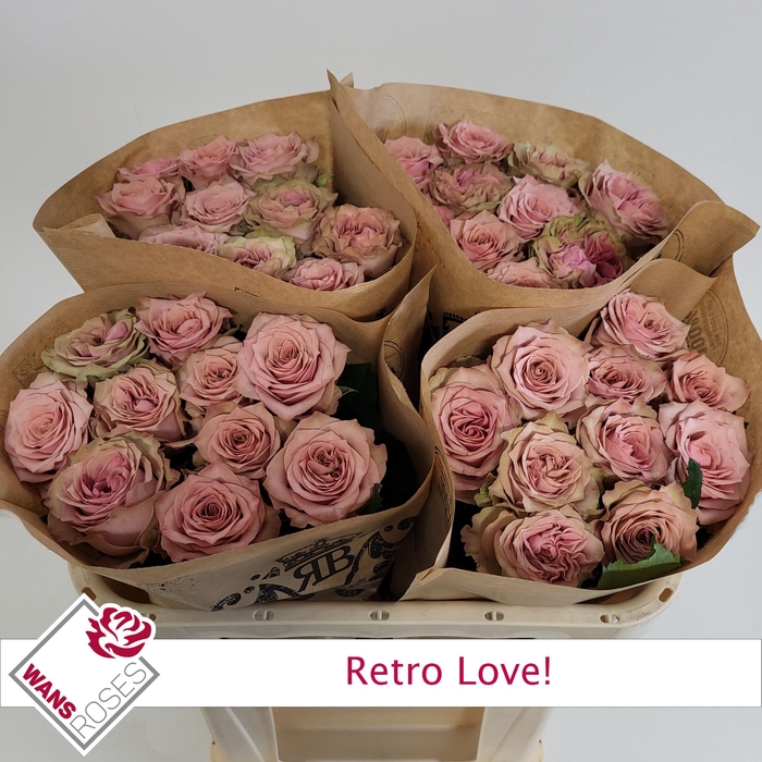 <h4>R GR RETRO LOVE!</h4>