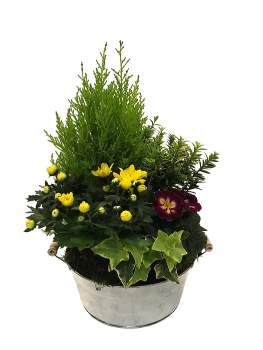 <h4>Opm A5 Buitenschaal Arrangement Zink</h4>