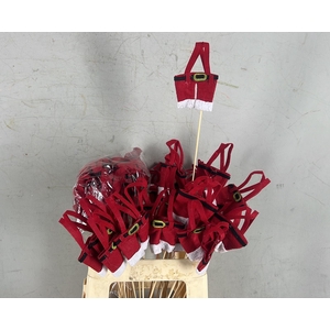 Stick Santa'S Pants 11x7cm Red