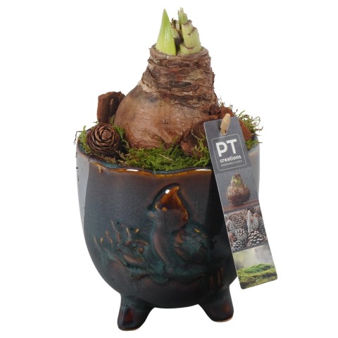 <h4>PTAA7516 Arrangementen Hippeastrum</h4>