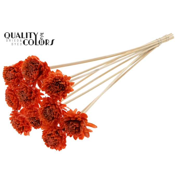 <h4>Shola Zinia 6cm on stem Wax Orange</h4>