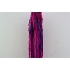 Pres Amaranthus Caud Neon Bunch Slv