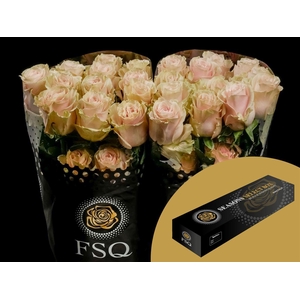 R GR Pink Mondial Box