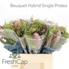 Bouquet Hybrid Single Protea