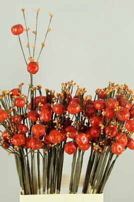 <h4>Stick Berries-pumpkins Orange</h4>