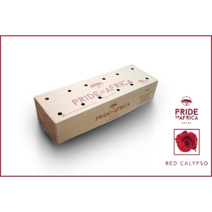 R KL RED CALYPSO Boxes (V)