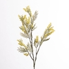 AF Mimosa L113cm Yellow