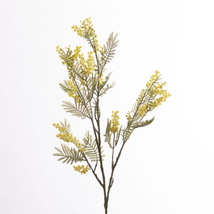 AF Mimosa L113cm Yellow