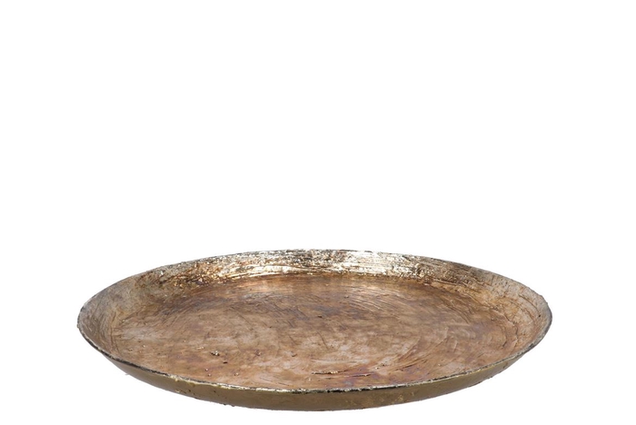 <h4>Noah Majestic Gold Coaster Iron 50x5cm</h4>