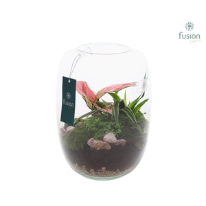 Green Bottle Isabella Medium met Grone planten