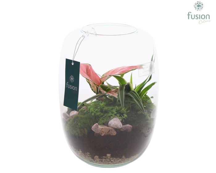 <h4>Green Bottle Isabella Medium met Grone planten</h4>