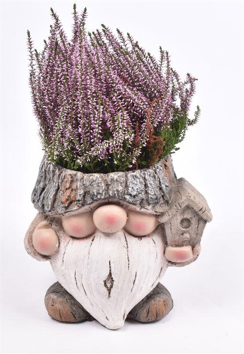 <h4>Cement gnoom 18-21cm</h4>