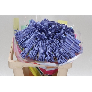 Bijsteker Mix +gl X40 Metallic Purple