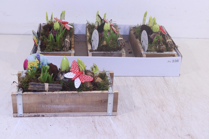 <h4>ARR BOL KNOLGEWAS</h4>