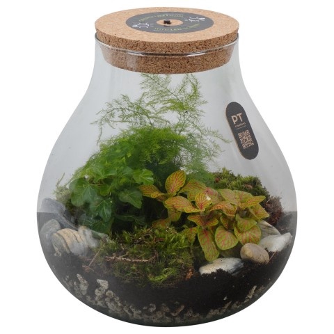 <h4>Opm Pt PTTER8113 Terrarium Glas</h4>