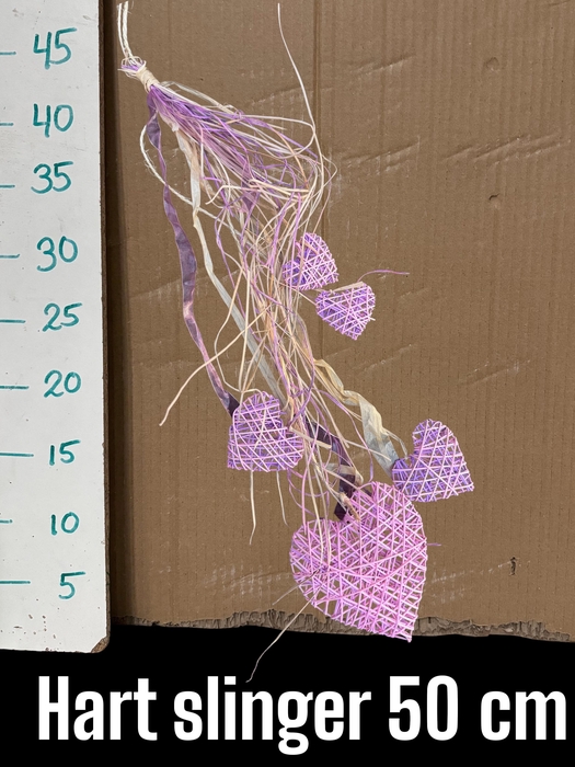 <h4>HUIS EN TUINDECO H%</h4>