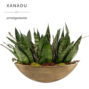 Xanadu Nashville