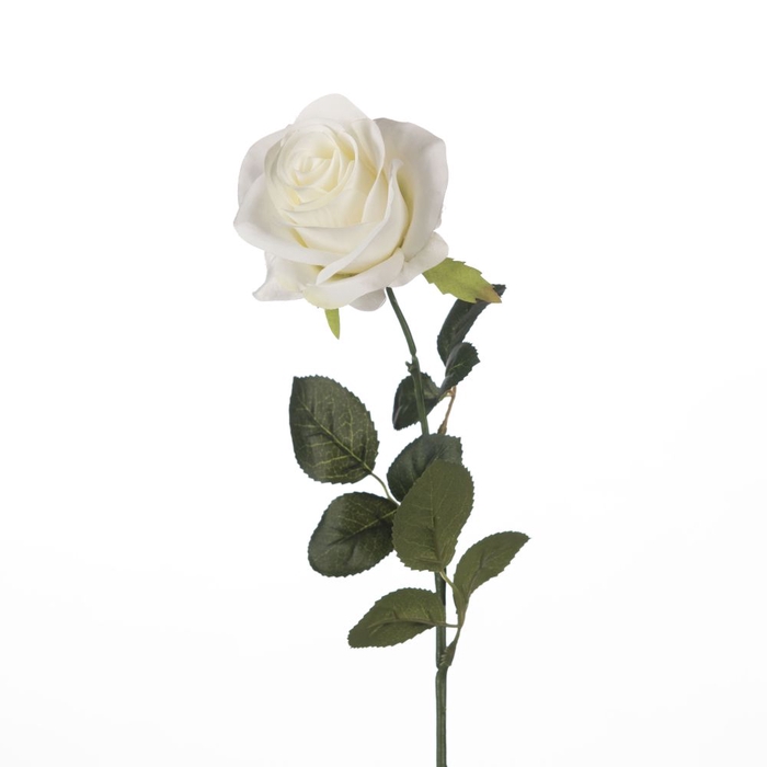 <h4>Af Rosa L65cm White</h4>