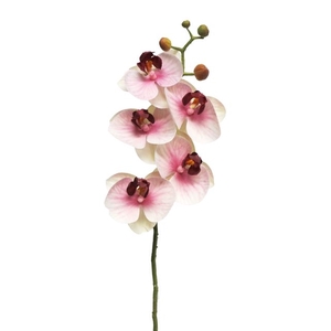 SILK FLOWERS - PHALAENOPSIS SPRAY BORA PINK 58CM