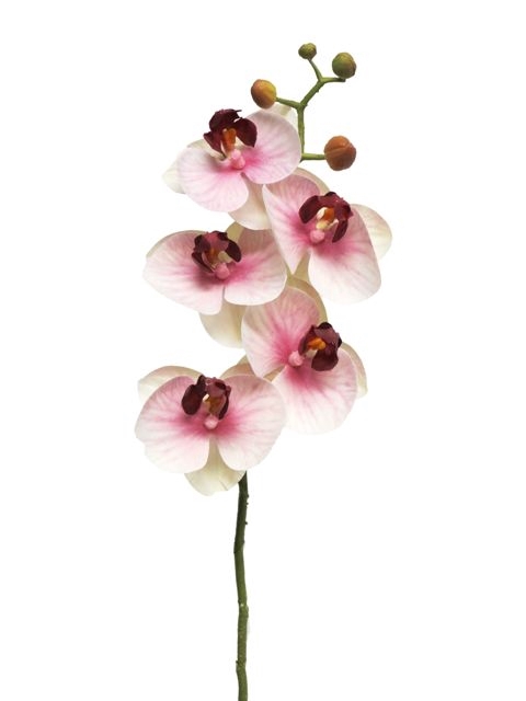 SILK FLOWERS - PHALAENOPSIS SPRAY BORA PINK 58CM