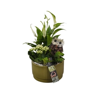 PTHI5576 Arrangement Herfst Indoor in Keramiek schaal