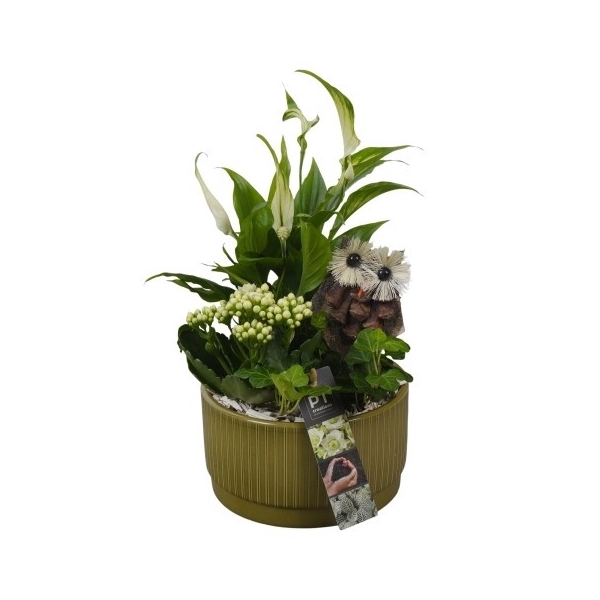 <h4>PTHI5576 Arrangement Herfst Indoor in Keramiek schaal</h4>