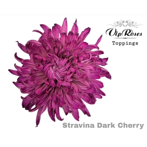 CHR G STRAVINA DARK CHERRY