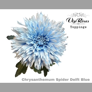 CHR G SPIDER DELFT BLUE