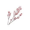 Rosehip Branch Corallo Red