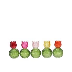 Bicolore Multi Color Mix Tulip T-light Ass 11x17cm