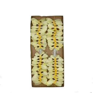 Vlinder/drd veren d09*5cm x48