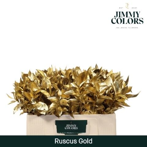 <h4>Ruscus L50 Mtlc. Goud</h4>