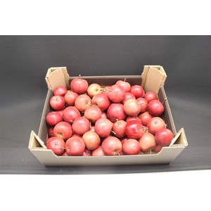 F Appel Rood 5kg Klein