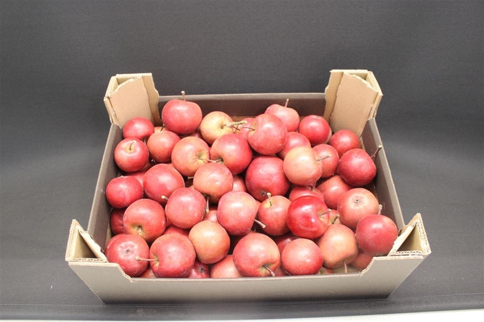 <h4>F Appel Rood 5kg Klein</h4>