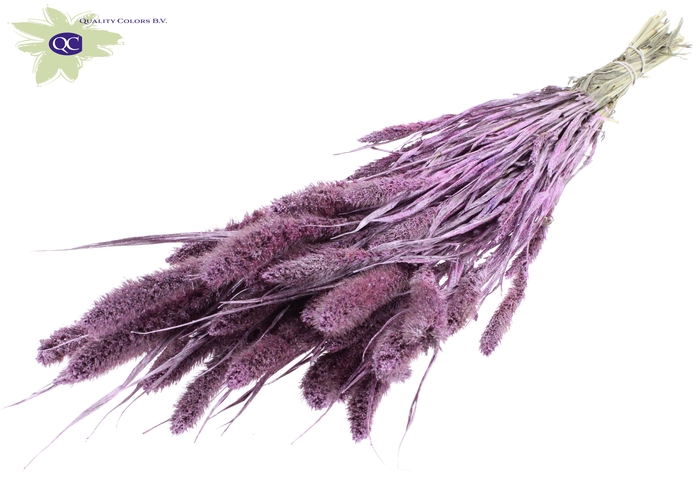 Setaria per bunch metallic pink + glitter