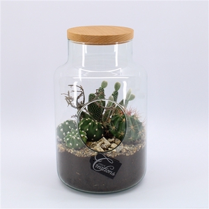 CTCR-2503 Cactus Essentials Terrarium