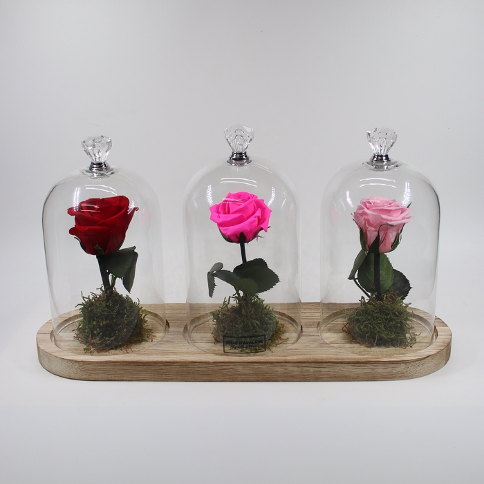 Stolp trio steel rood-fuchsia-roze glas