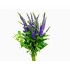 VERONICA LONGIFOLIA SKYLER BLUE 060 CM AZUL