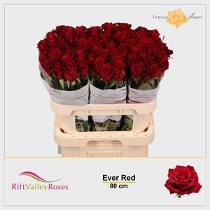 R GR EVER RED