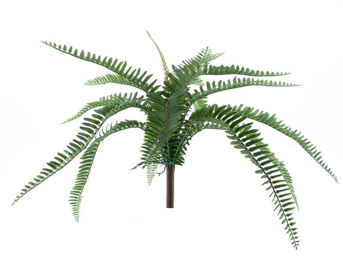 <h4>Fern Torres Sunrise middle gr.48cm</h4>