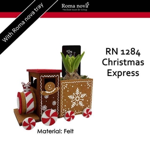 arr4 Hyacint RN - Christmas express