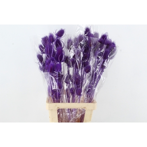 DF Dipsacus Milka Bs 130g
