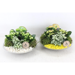 arr2 PL - Glas schaal 27cm - geel/wit