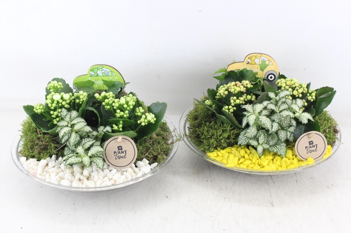 <h4>arr2 PL - Glas schaal 27cm - geel/wit</h4>