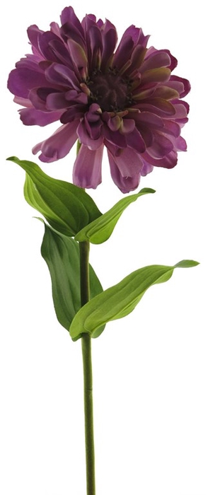 <h4>Zinnia spray 58cm beauty</h4>