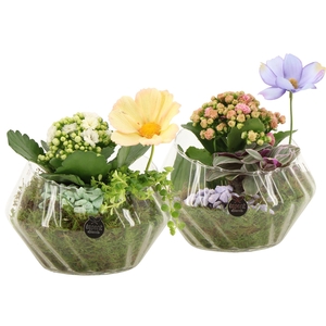 11578: Consideration arrangement