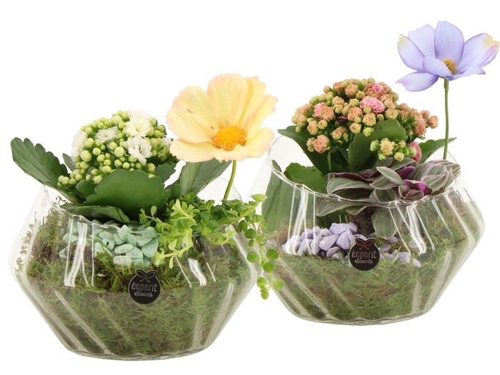 <h4>11578: Consideration arrangement</h4>