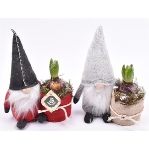 Gnoom 25 cm grijs/rood pas 9cm