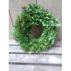 KRANZ 17 BUX KRANZ 25CM